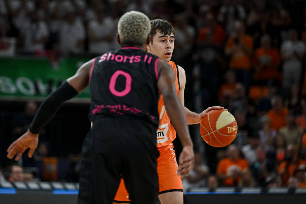 西当年引进 西当年引进